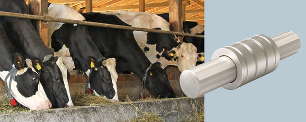 A group of cows and a simplicity bearing